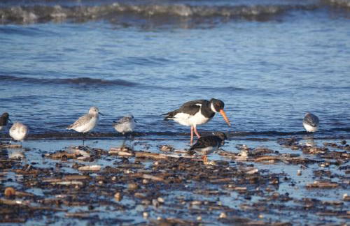 Old Hunstanton luxury by the sea - Foto 12