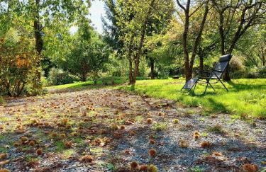 Le nid dans le chêne - Photo 36