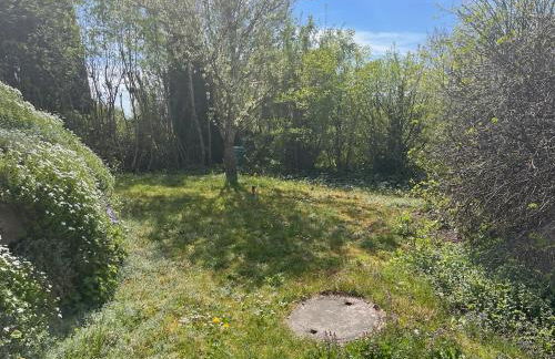 Gemütliche, sonnendurchflutete Ferienwohnung in Bodenseenähe am Säntisblick - Foto 12