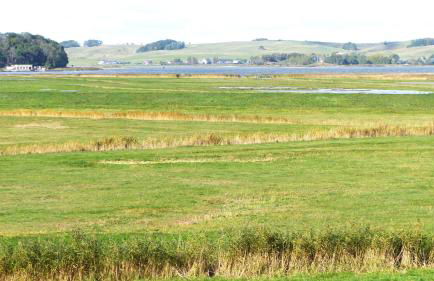 Ferienwohnung AHOI Thiessow - Foto 33