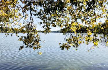 Mazurska bania u Pana Szeptuna - drewniany dom na skraju lasu - Foto 9