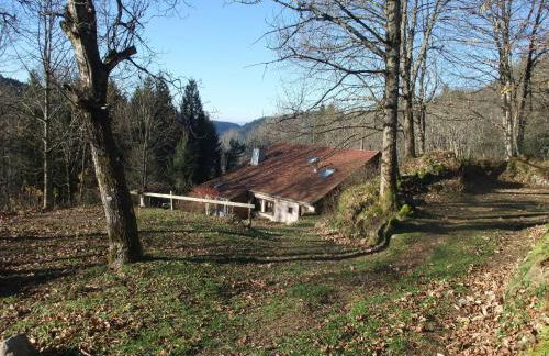 Gîte isolé au cœur des Vosges, parfait pour randonnées - FR-1-583-430 - Foto 17