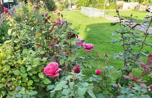 Ferienwohnungen Hainichglück - Foto 13