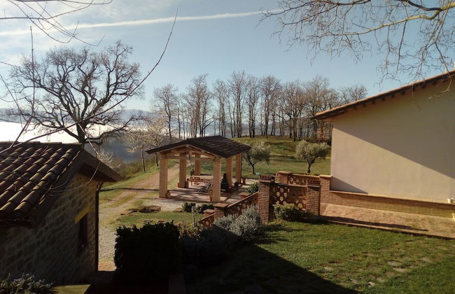 Agriturismo Il Beccafico Alpaca - Foto 28