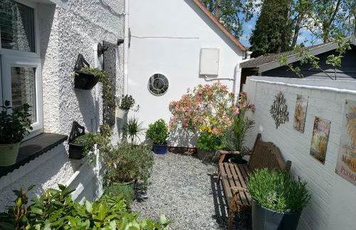 No - 48 Hamnet - Foto 11