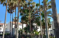 Costa de Antigua 106 Torres del Castillo, Fuerteventura - Foto 40