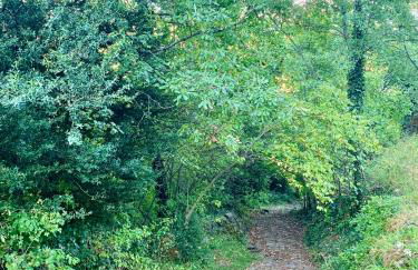 Casita Mondoto, encanto en el Pirineo - Foto 6
