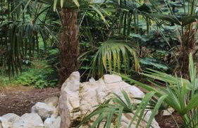 Apartament Nad Jeziorem Brenno - Foto 17