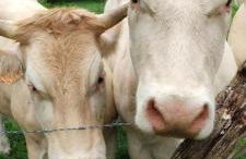 Appartements Studio et Japan Room - Proche Disneyland Paris - Foto 55