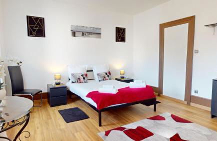 Les Cigognes d'Alsace - Photo 20