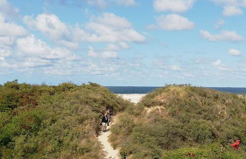 Friedeburga - Photo 36