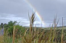 Eleven Castelo - Foto 35