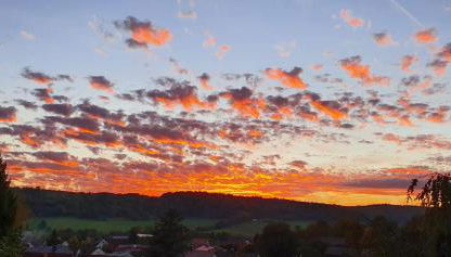 Ferienwohnung Vogelsang - Foto 5