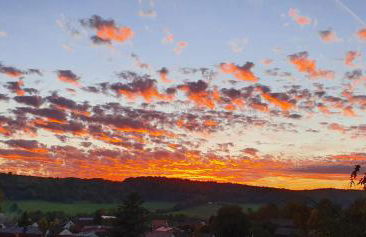 Ferienwohnung Vogelsang - Foto 5