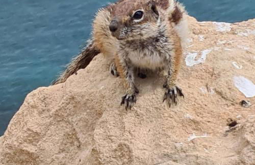 Casa Yvonne - Photo 22