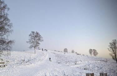 Architektenhaus mit Spielplatz, Sauna & Pool am Wald nahe Hamburg - Foto 50