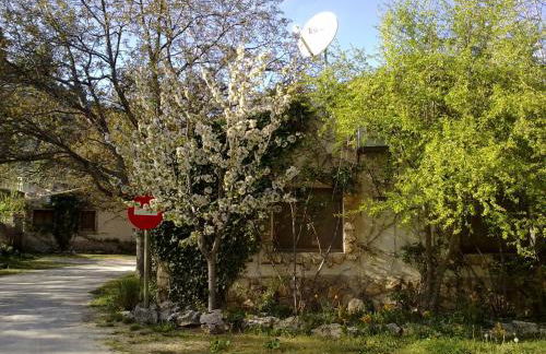 Casas Rurales Los Enebros Nerpio - Foto 51