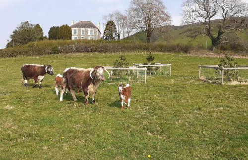Tyllwyd Farmhouse - Foto 38