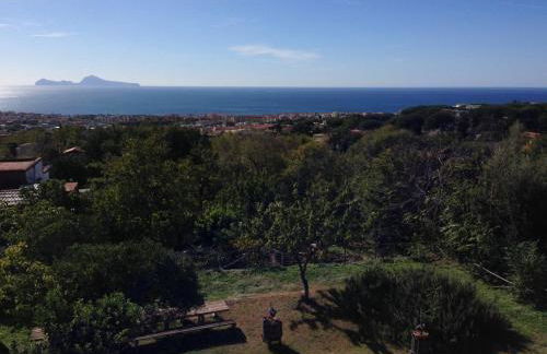 Domus Agricolae Corallina - Foto 29