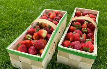 Biała Czapla - Foto 28