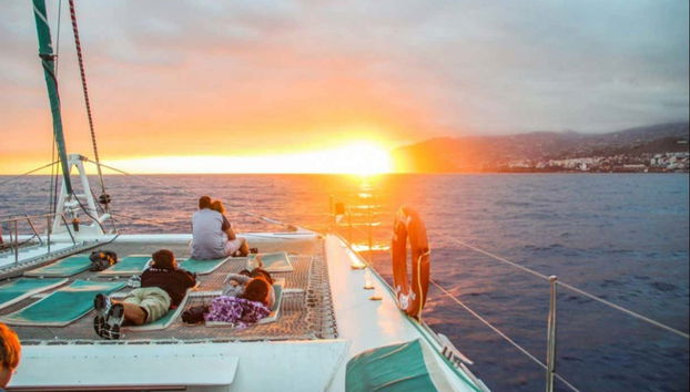 Avistamiento de cetáceos al atardecer - Foto 3