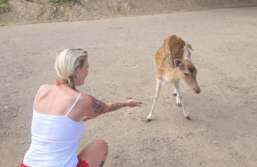 Familiehuis Dolve - Foto 105