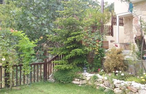 House in the Forest - Foto 37