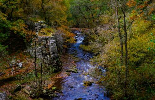 Waterfall Lodge - Foto 52