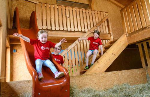 Almerhof - Waldferienhof Almer - Foto 2