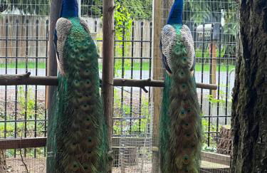 Private Lake House - Foto 40