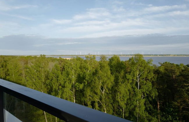 Art Forrest 33 K in Rogowo - Photo 27