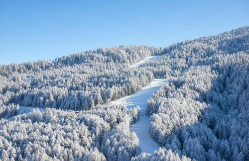 Casa vacanze moderna a 500m dalle piste - Foto 21