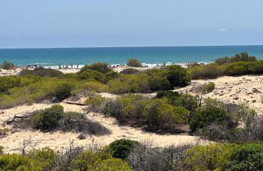 Bungalow Carabassi Mediterraneo 3 Pool and roof terrace - Foto 9
