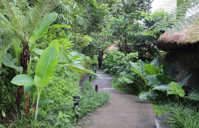 Akohara Buahan Village Retreat - Foto 35