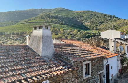 My Grandmas A casa das avós - Foto 21