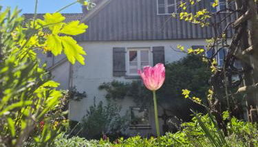 Maison Fuchs - Fantastisches ehemaliges Bauernhaus mit Garten, WiFi und BBQ - Foto 1