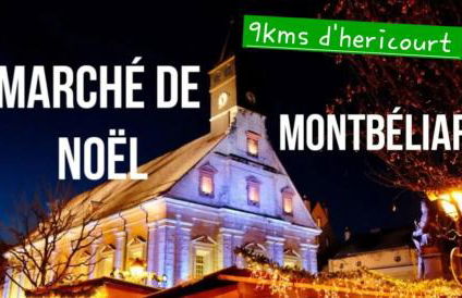 F3 centre d hericourt Fibre et Netfix - Foto 24