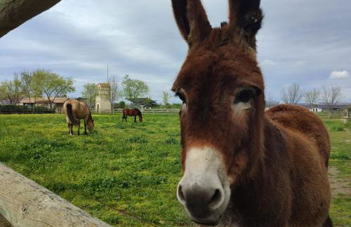 Finca La Calancha - Foto 39