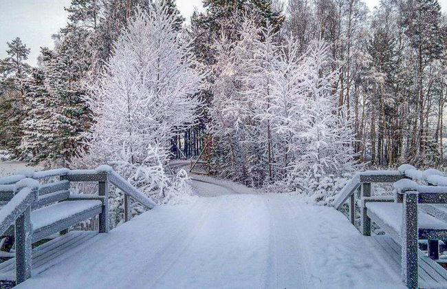 Niinimökki - Foto 19