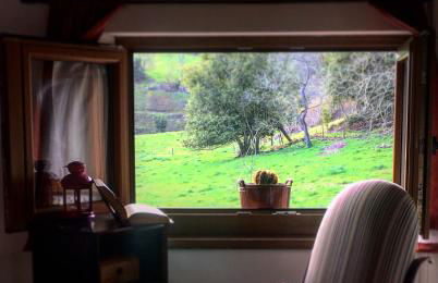 La Galayca - Foto 11