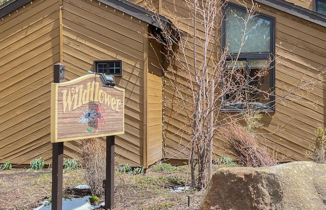 Restful Wildflower - Foto 38