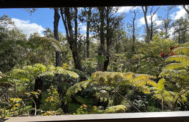 Volcano Rainforest Lodge - Foto 55