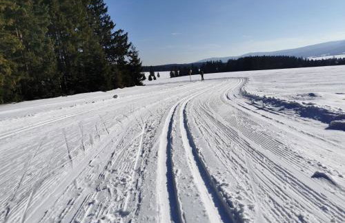 Apartament Zielone Okiennice - Foto 13