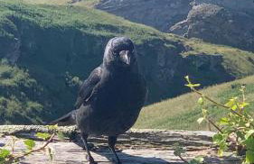 Manor Lake Lodge Exclusive luxury lodge retreat - Foto 28