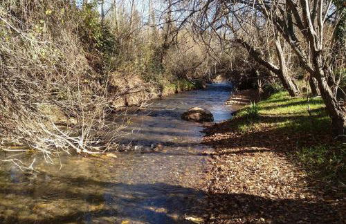 La Casirria - Foto 12