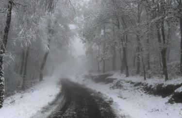 Retiro Da Arminda - Foto 13