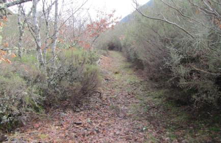 Apartamentos Turísticos Cabrera - Foto 33