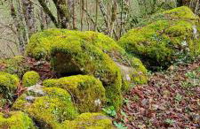 Casa Rural El Puente de Agues - Foto 21