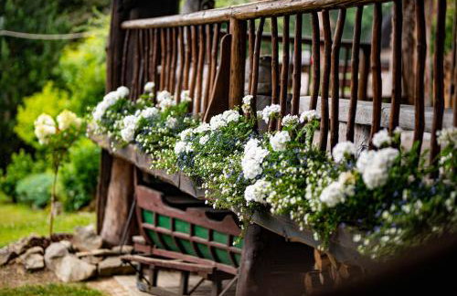 Bacówka Biały Jeleń - Photo 52