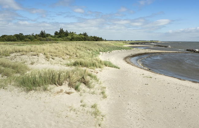 "Lottje" - 300m from the sea - Foto 5